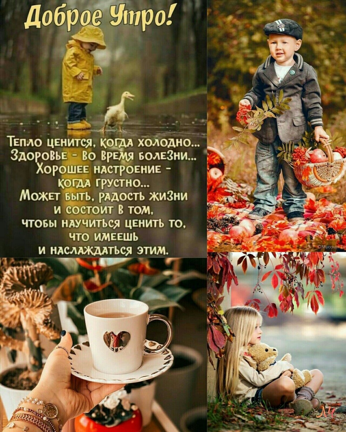 С добрым осенним утречком
