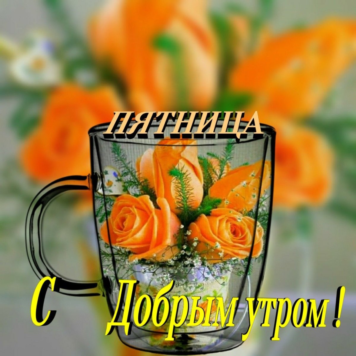 Шуточные пожелания доброго утра и хорошего дня