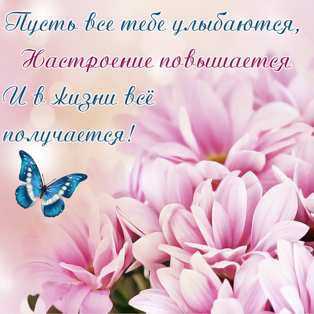 Красивые открытки