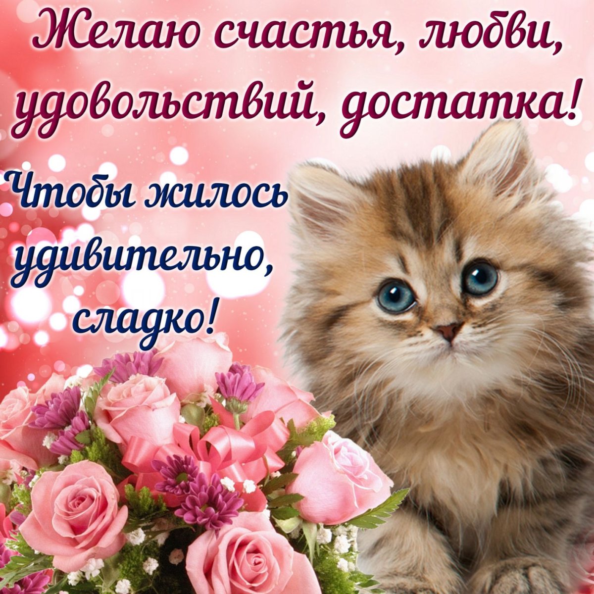 Открытки с котятами