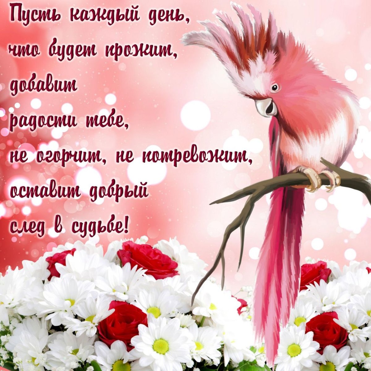 Открытки с котятами