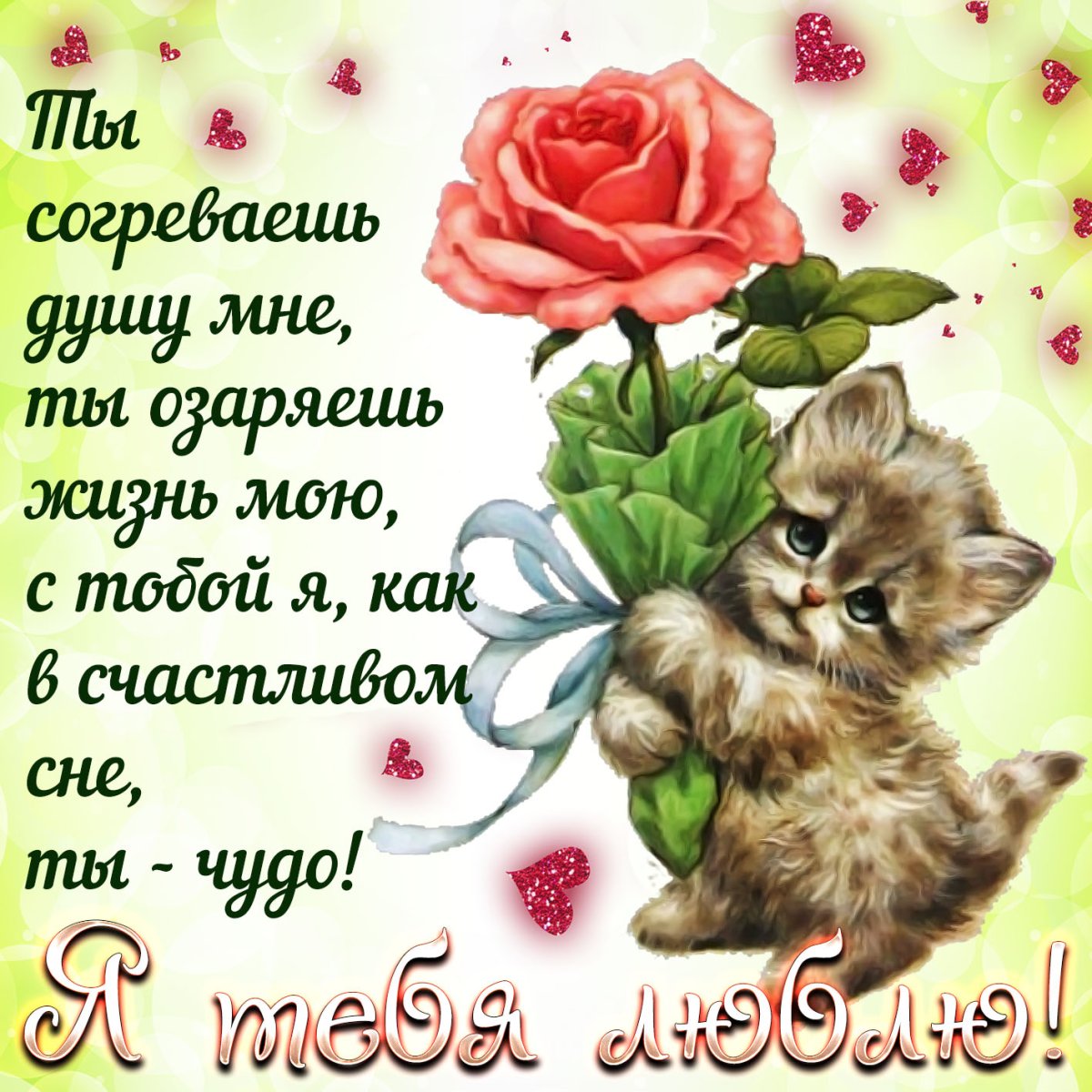 Счастливой жизни поздравляем