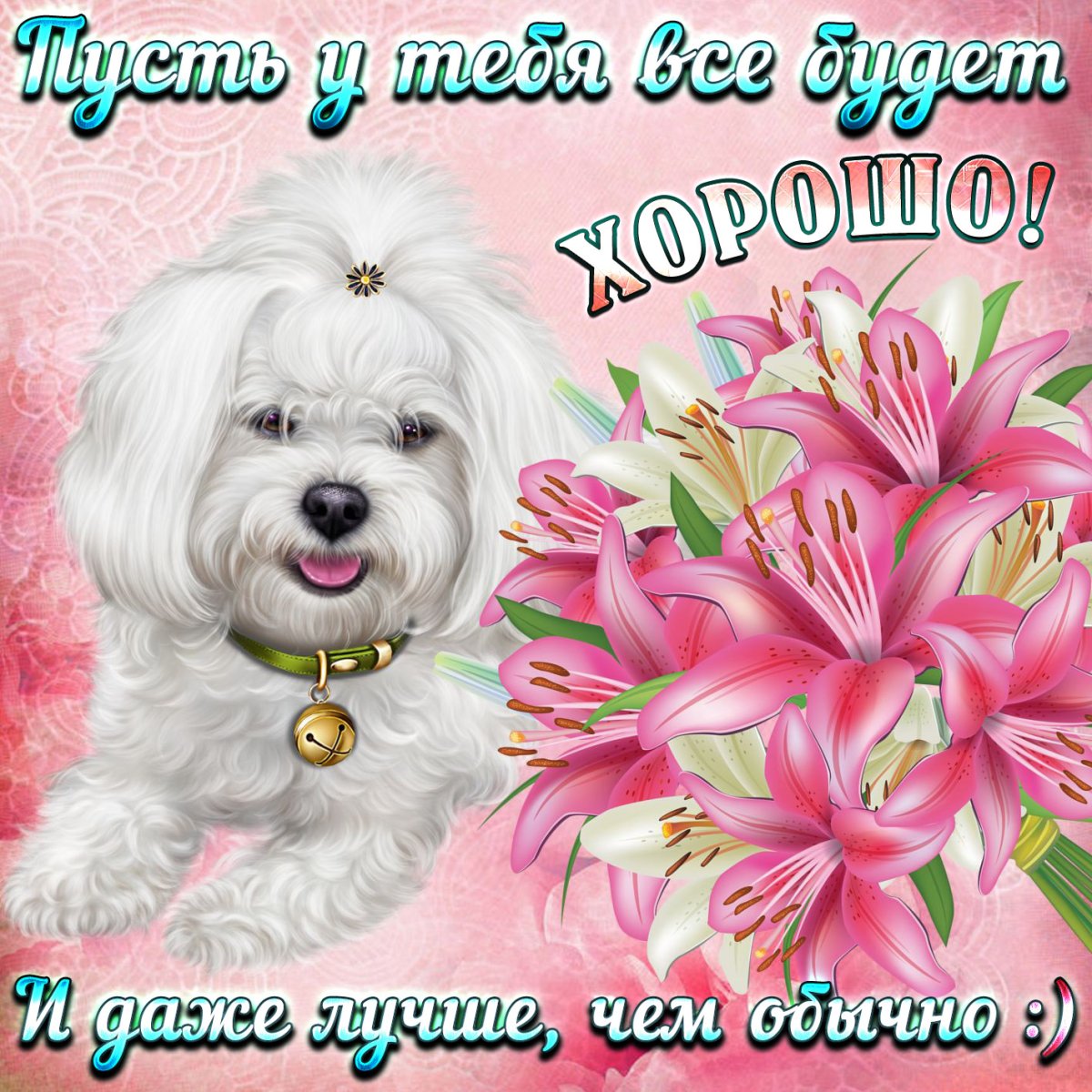 Открытки с добрым днём