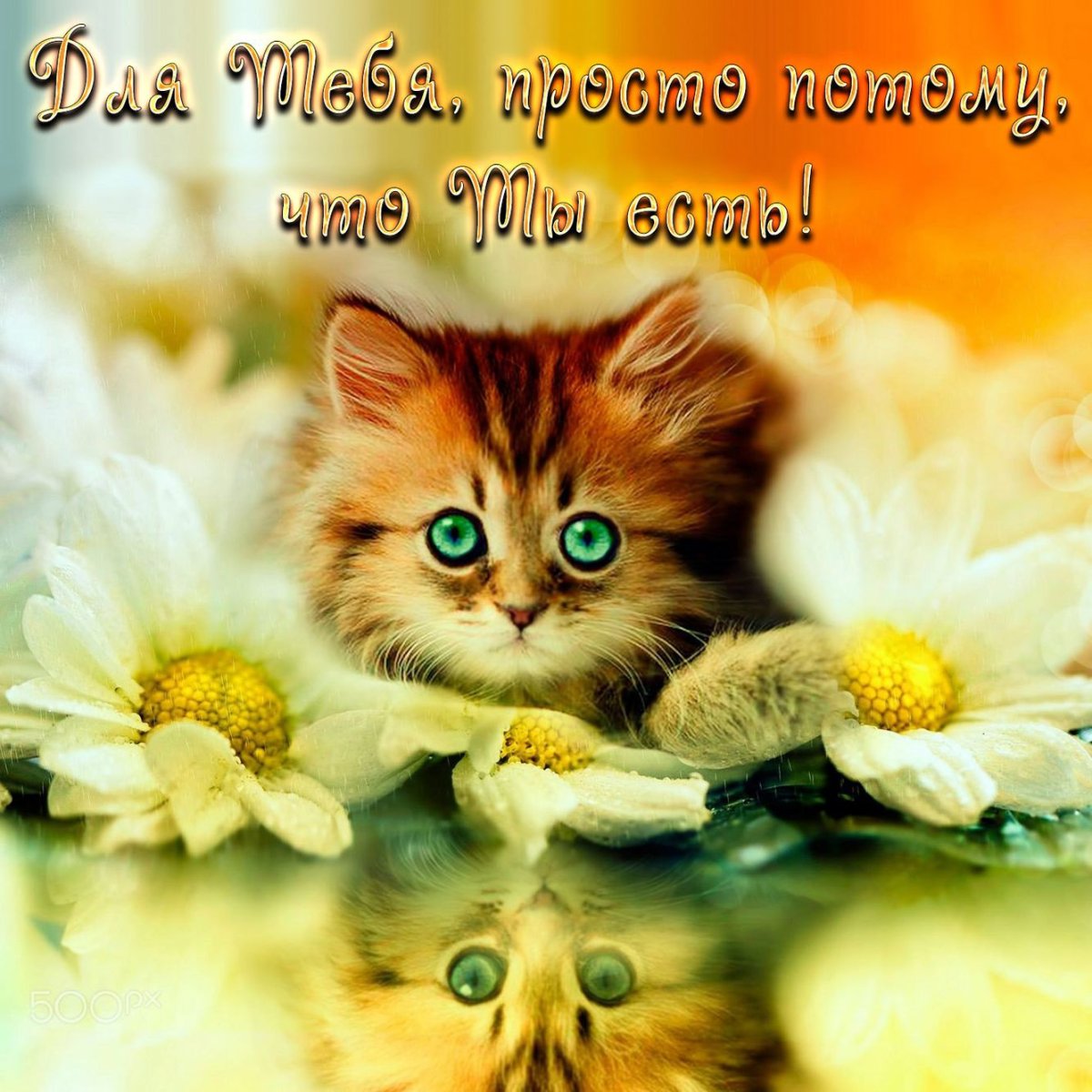 Красивые пожелания