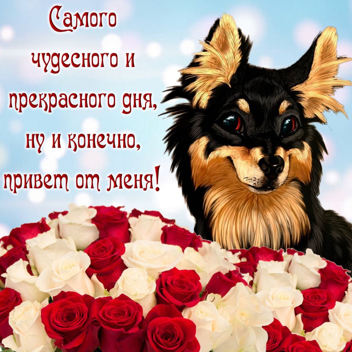 С днём рождения Алиса поздравления