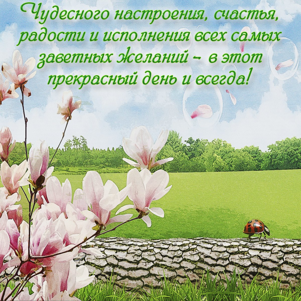 Чудесное настроение