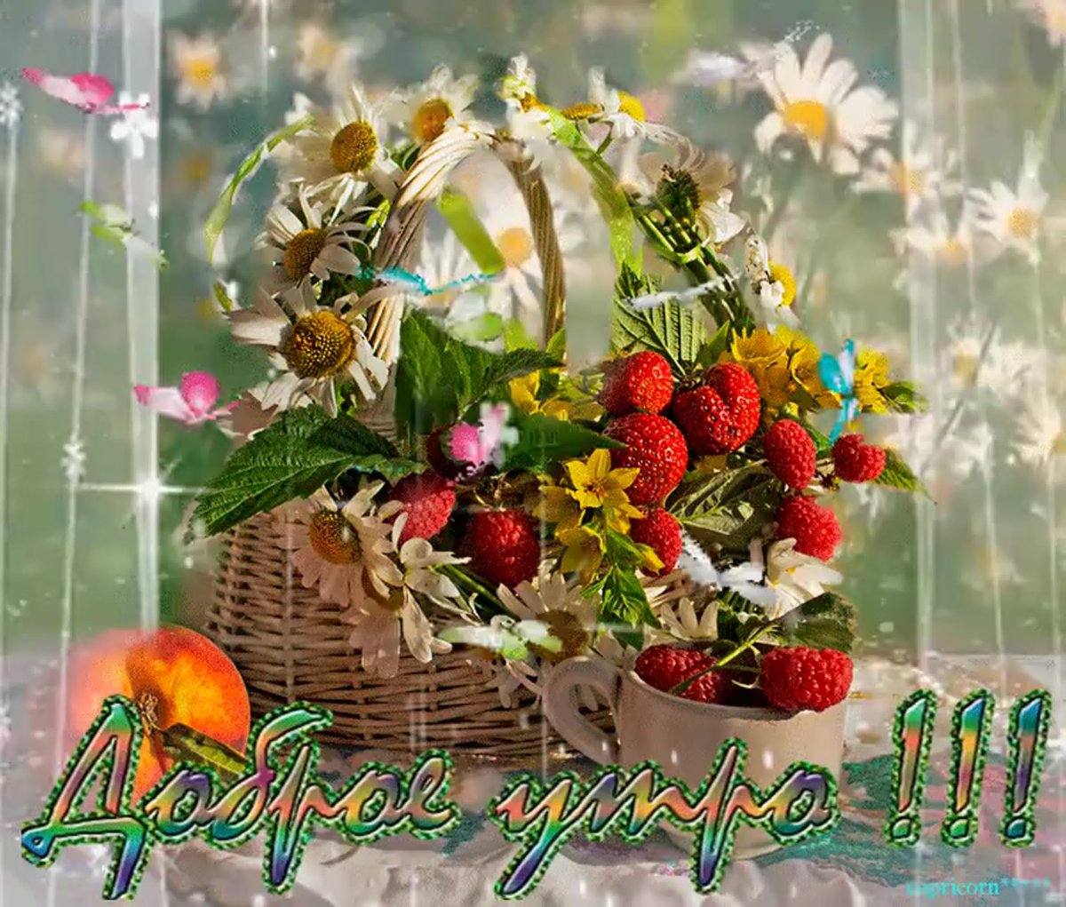 Красивого летнего дня