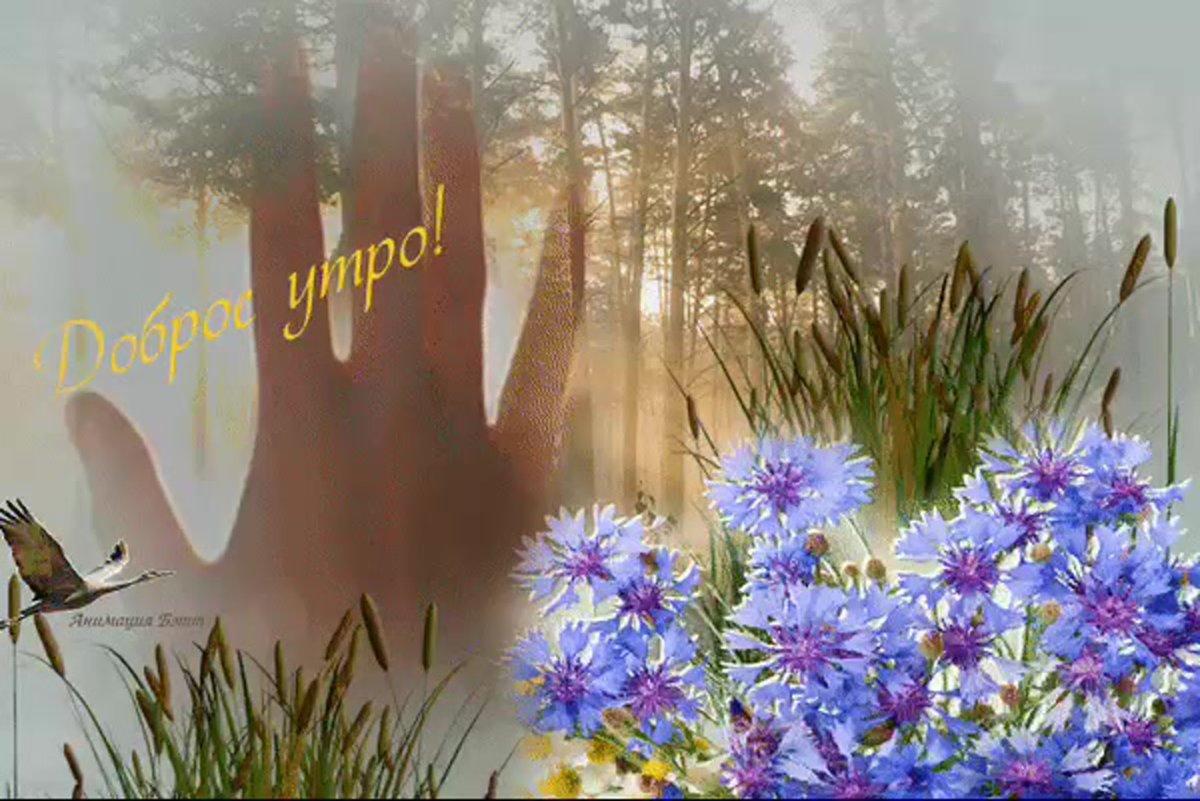 Чудесного летнего вечера