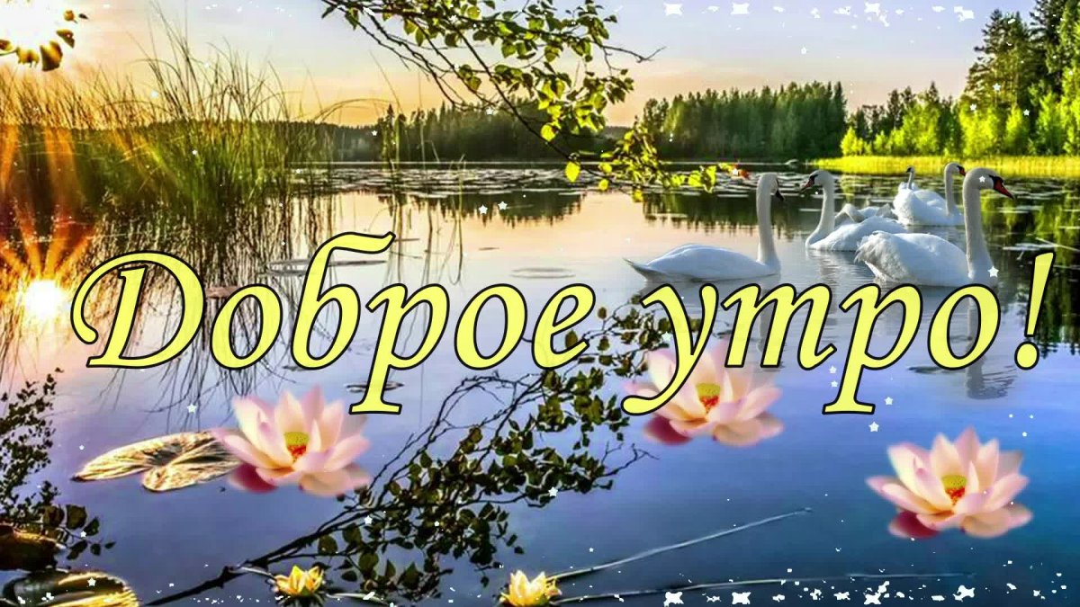 С добрым утром вторника