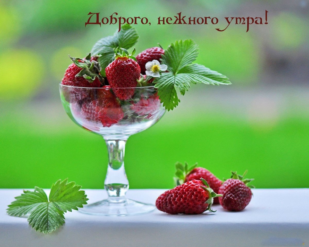 Доброе утро пожелания красивые