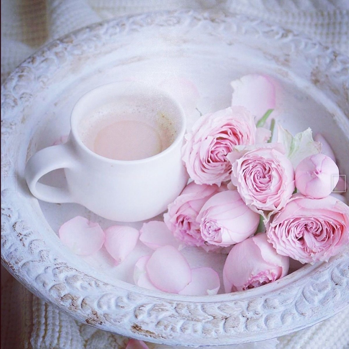 Открытки с нежными цветами