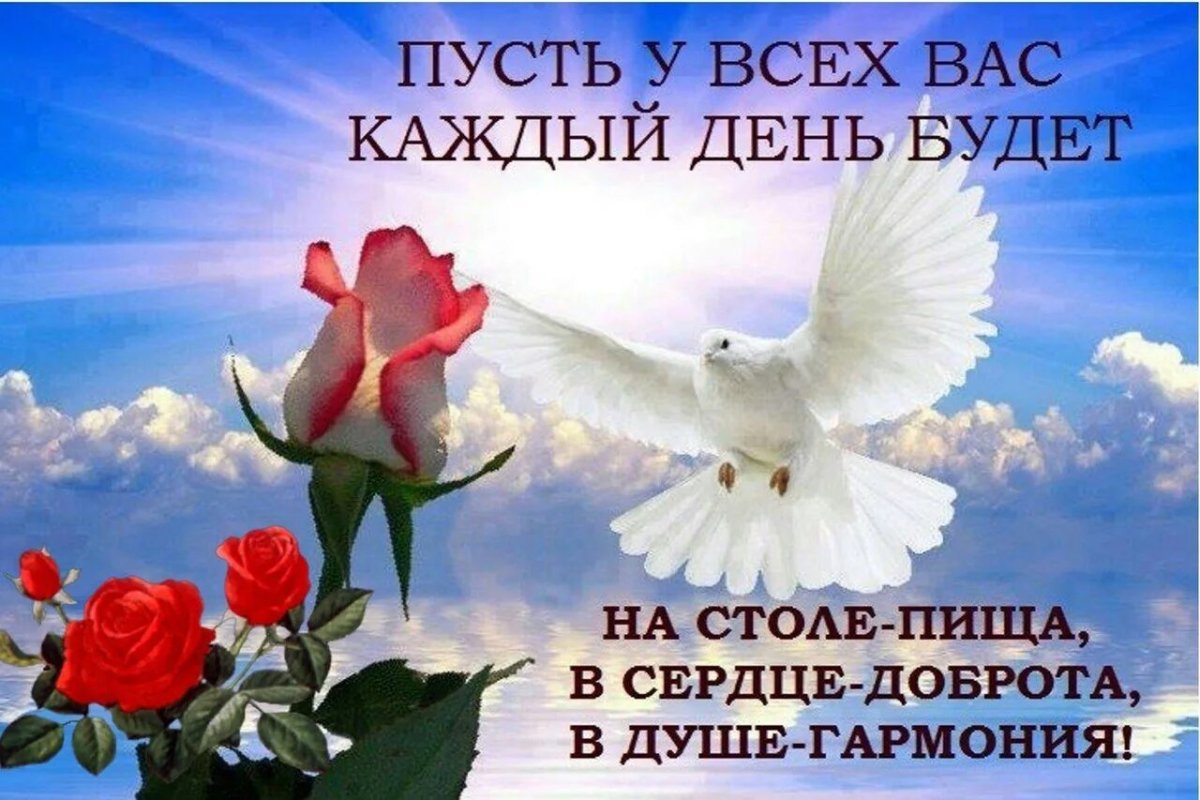 Голубое небо с голубями