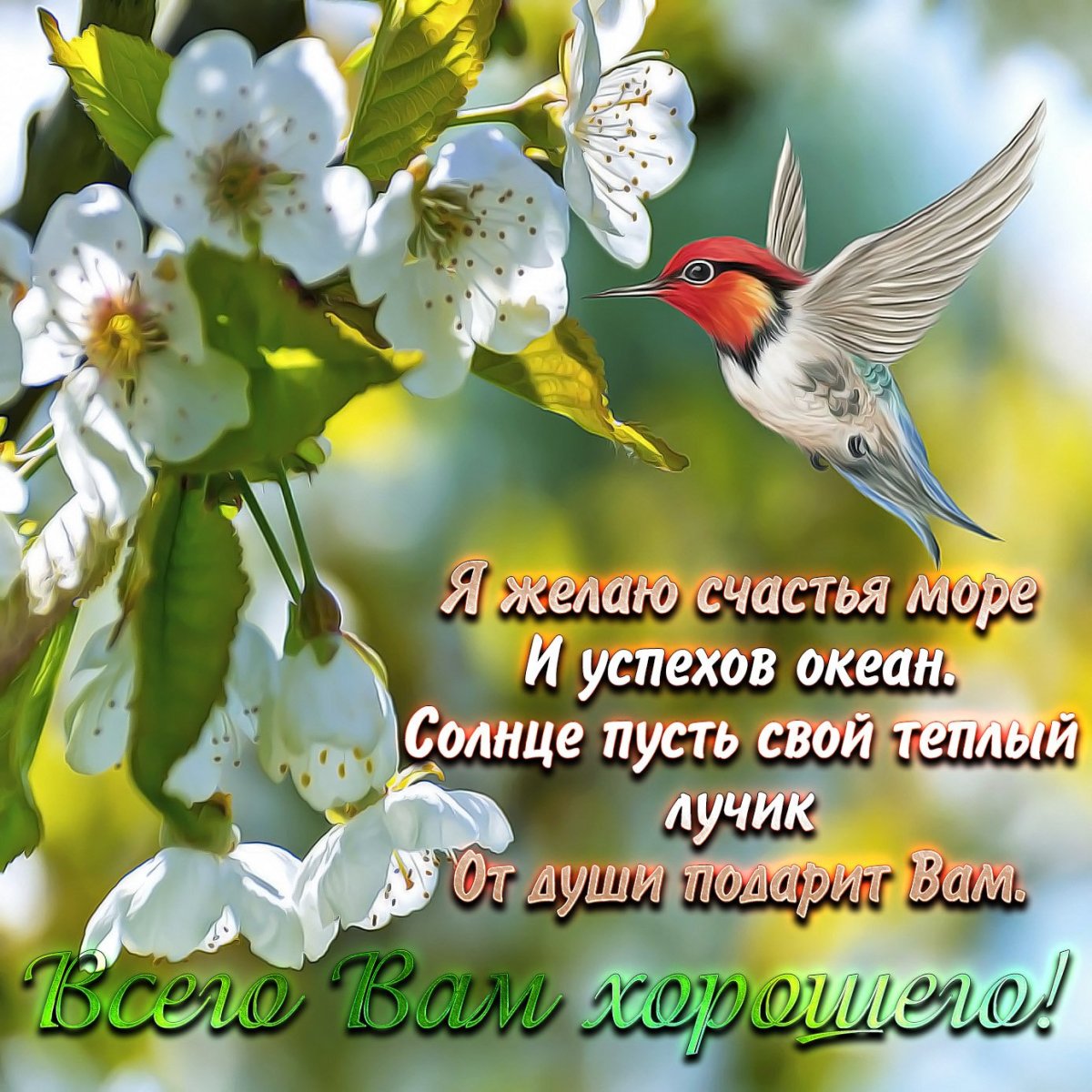 Дай Бог вам здоровья