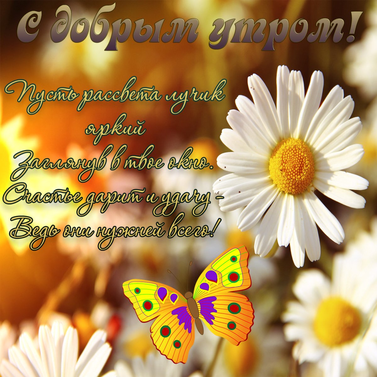 Открытки с пожеланием доброго утра