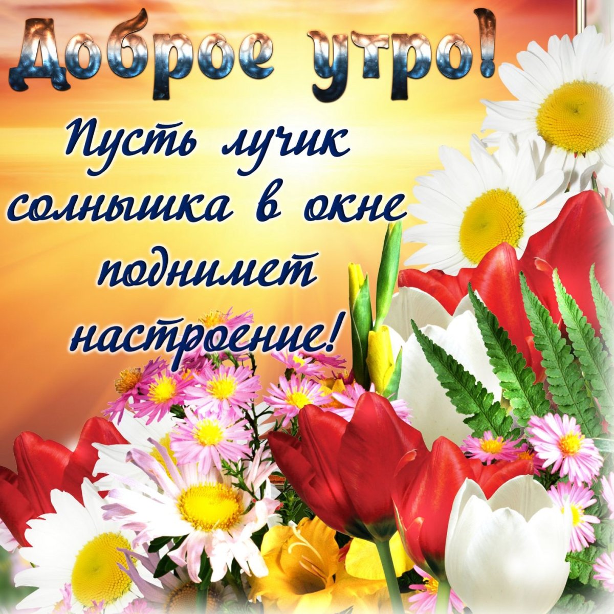 Позитивные открытки с добрым утром