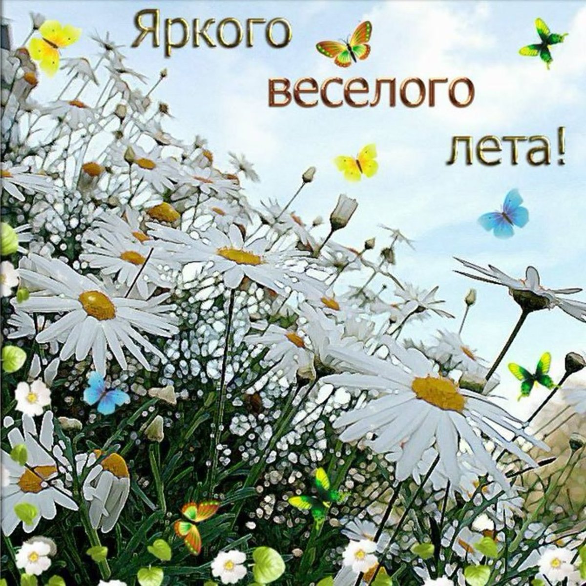 Душевного тепла и хорошего настроения