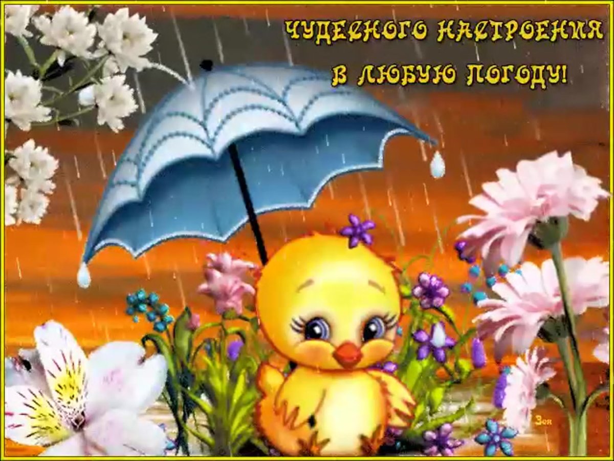 Открытки хорошего настроения в любую погоду