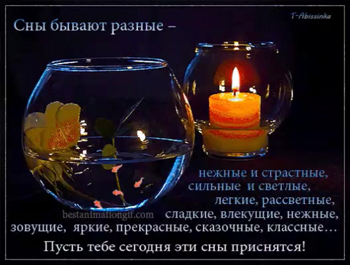 Доброго вечера и спокойной ночи