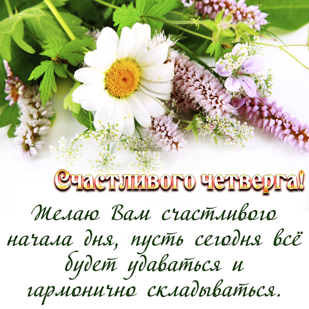 Пожелания с добрым утром четверг