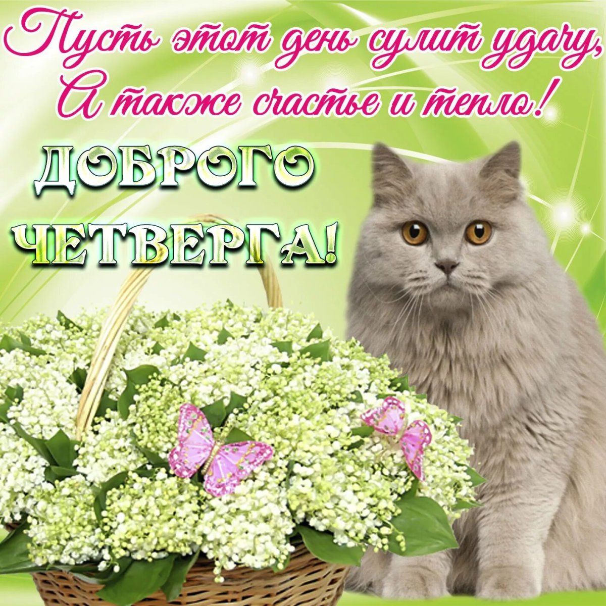 Открытки прекрасного четверга