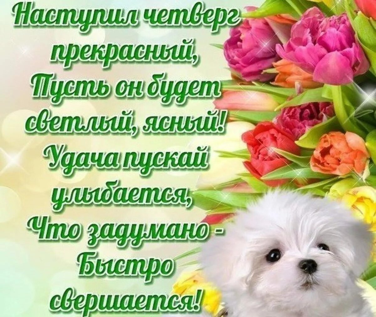 Доброе утро хорошего четверга