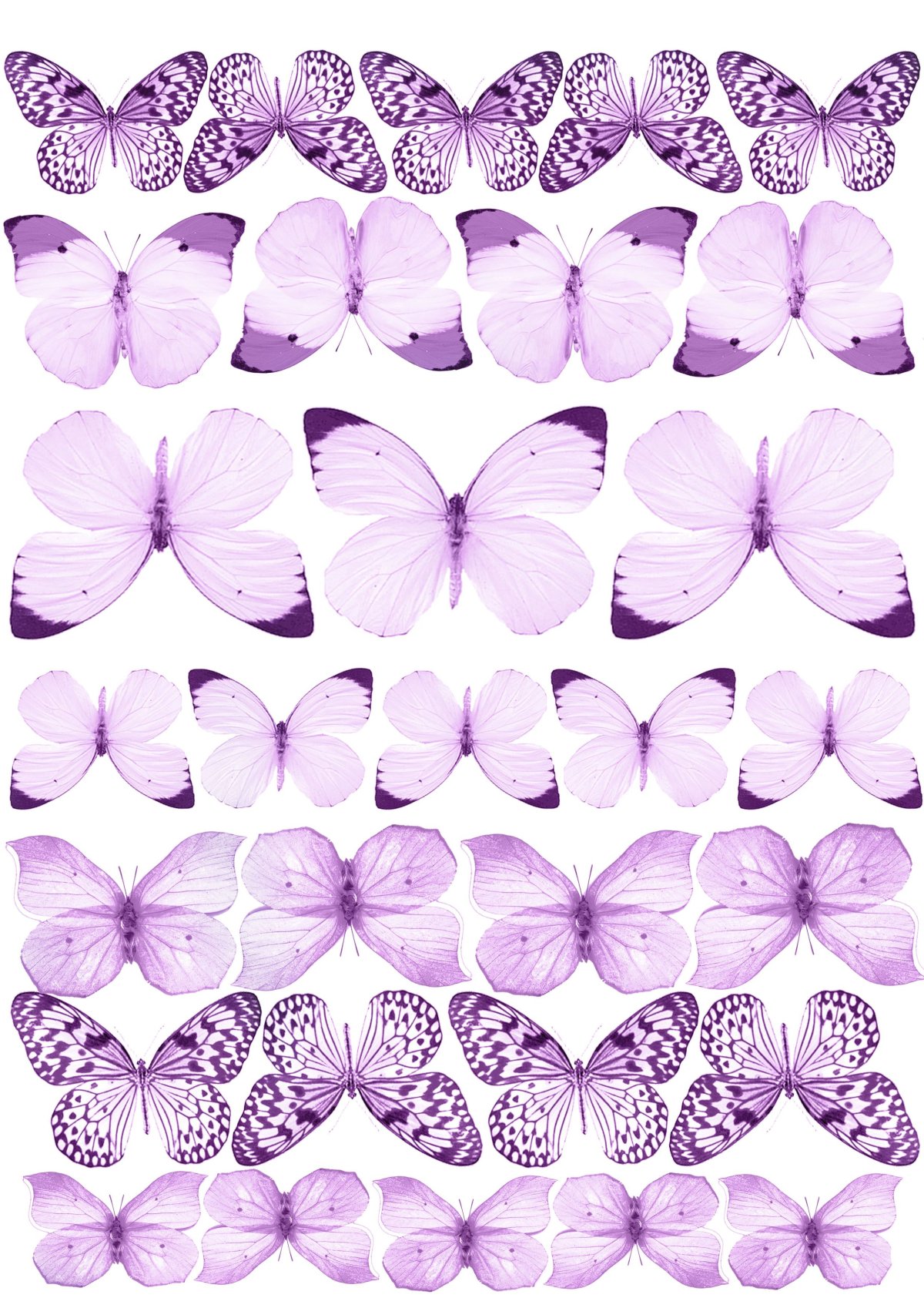 Розовые бабочки