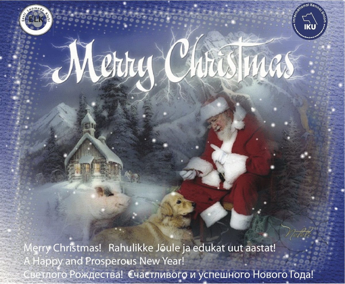 Рождество Христово спасибо за внимание