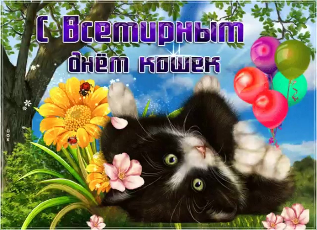 Всемирный день кошек 8 августа
