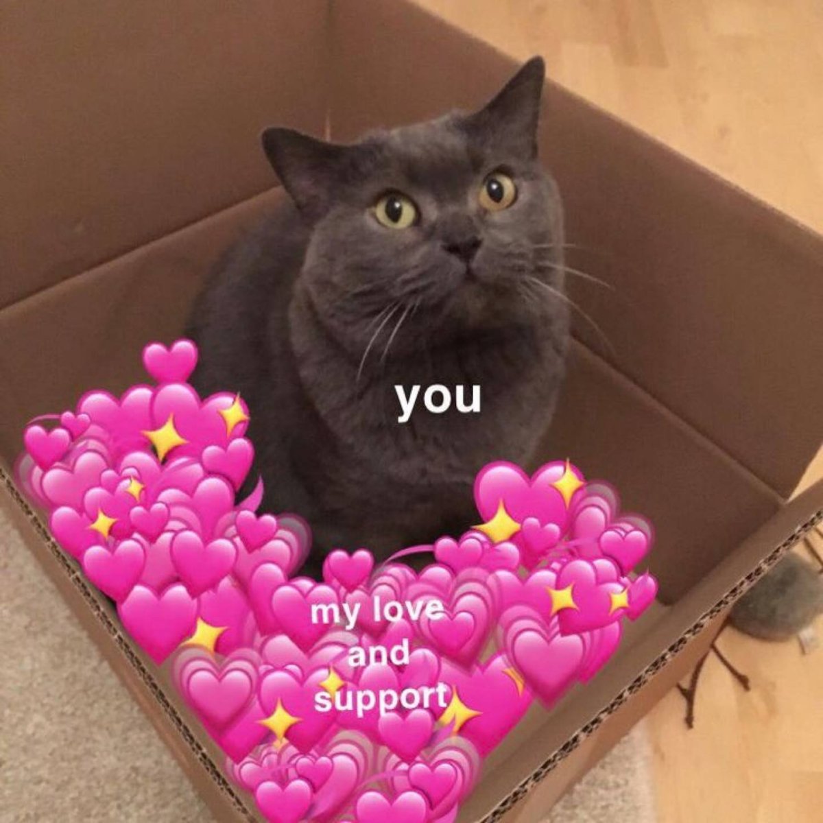 Котики с сердечками и надписями