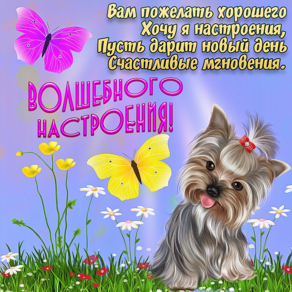 Оригинальные пожелания с добрым утром