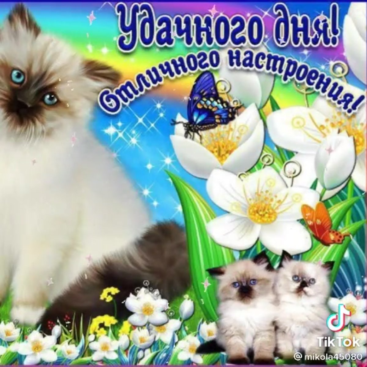 Уже четверг