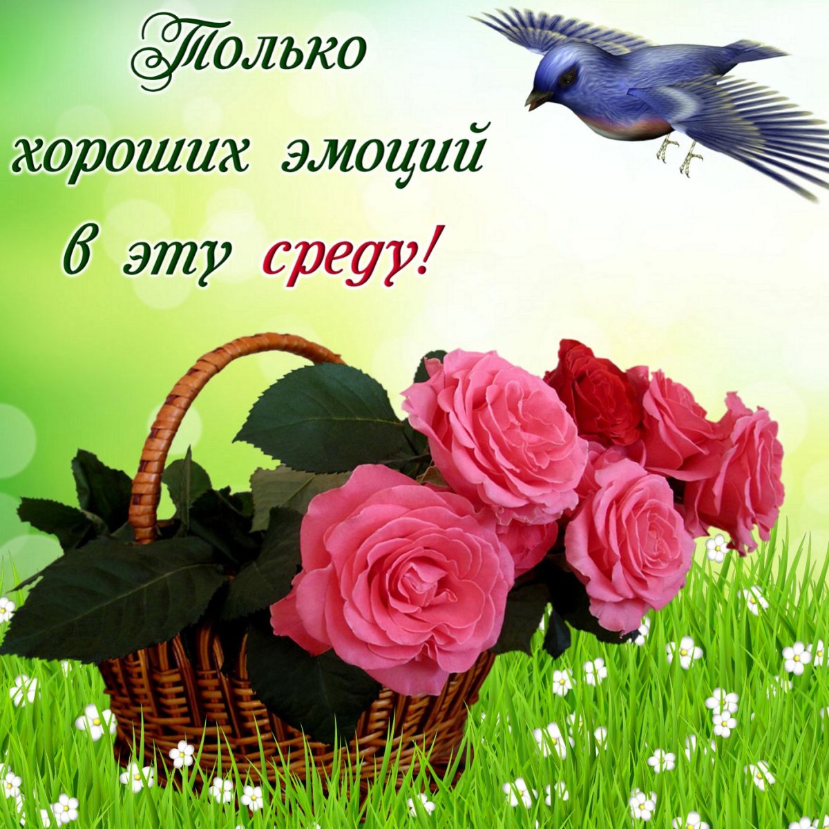 Пожелания счастья