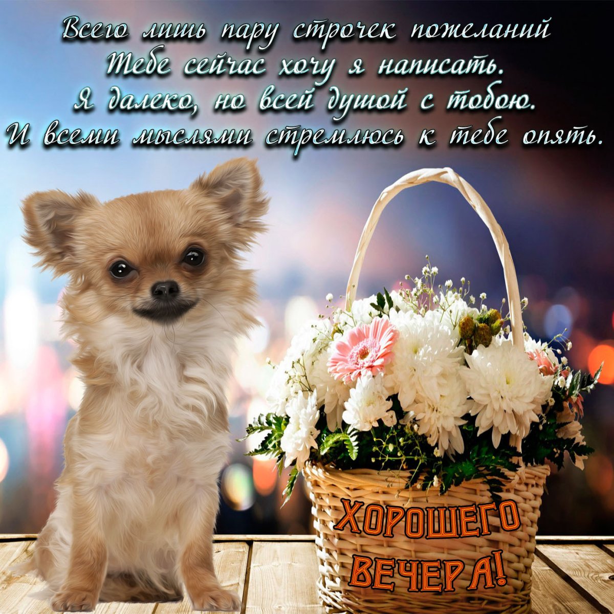 Чудесного настроения на весь день