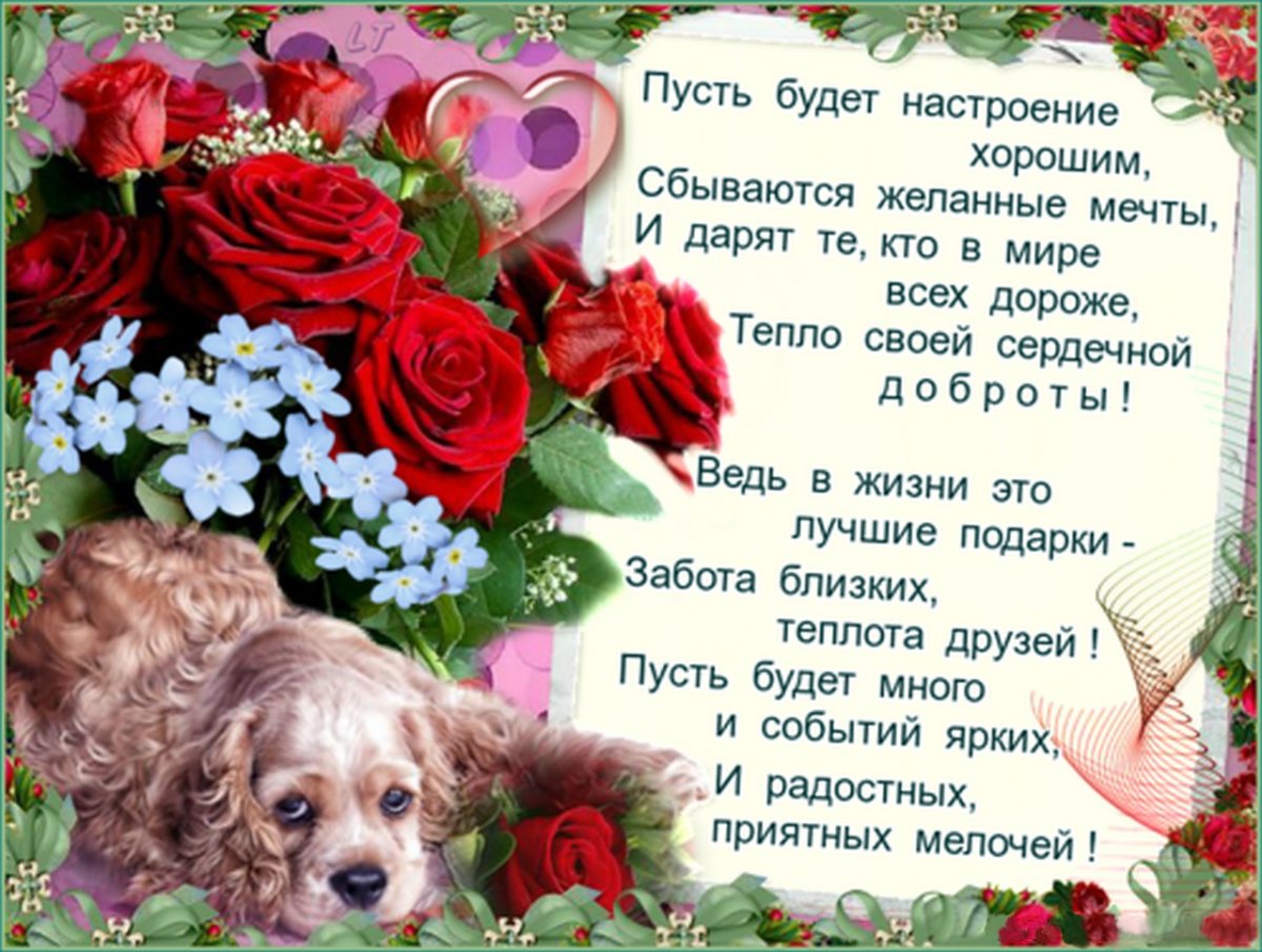 Открытки со средой