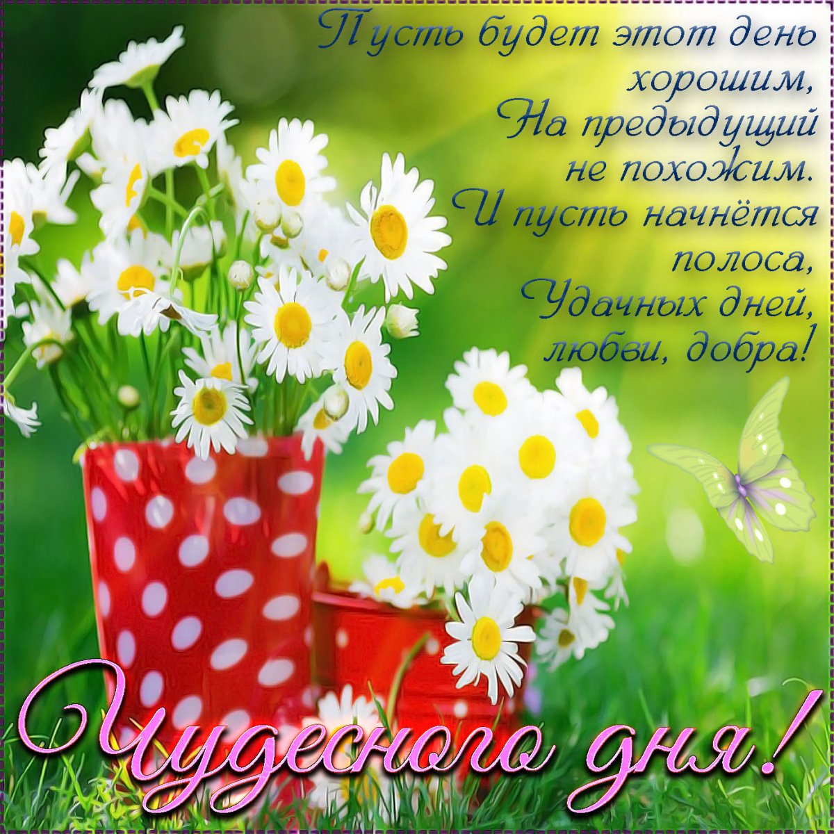 Современные открытки хорошего дня