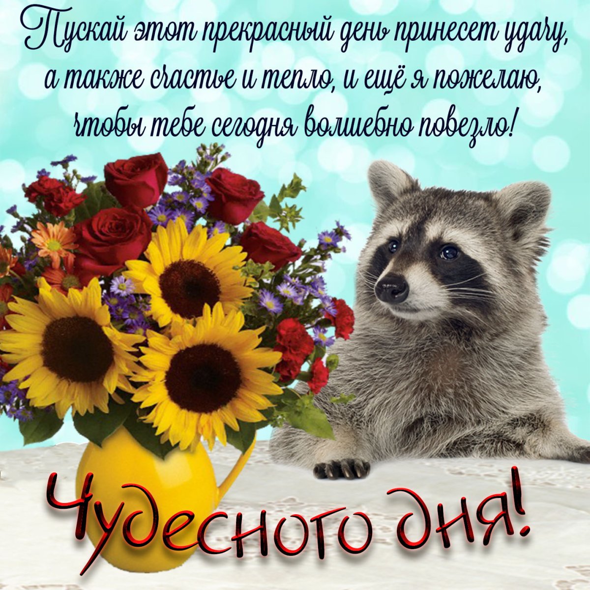 Прекрасной субботы и отличного настроения