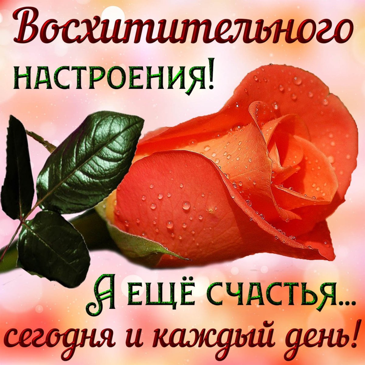 Открытки с пожеланиями