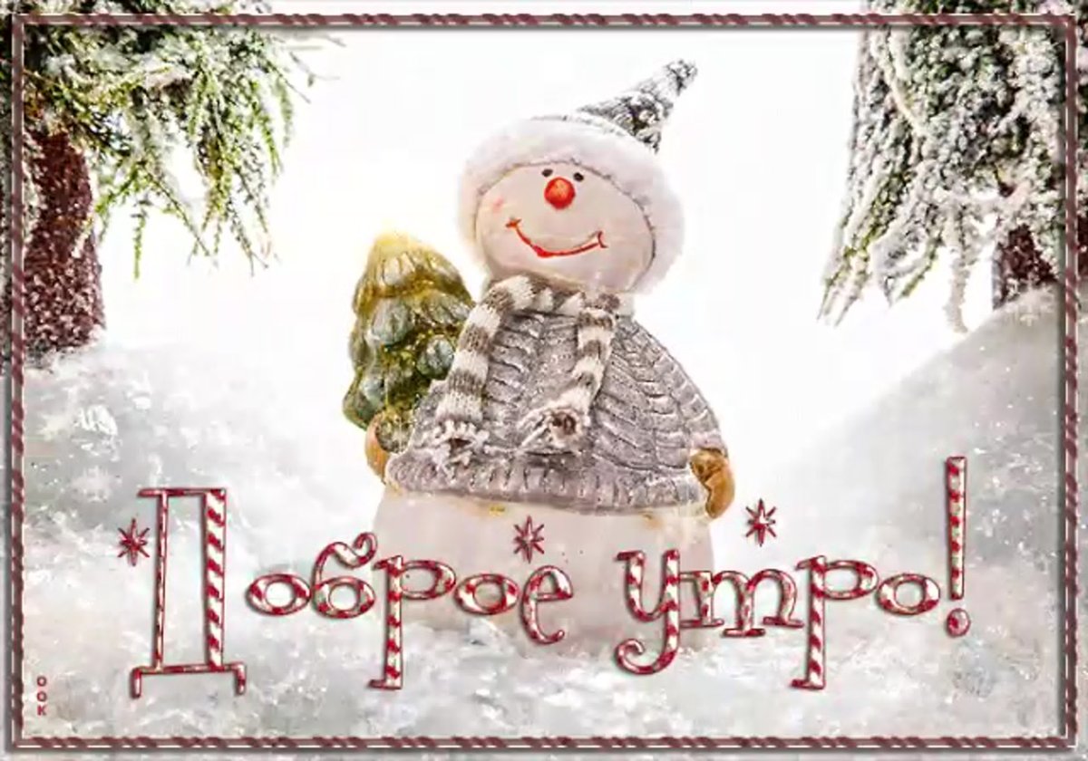 Хорошего вечера и настроения прикольные