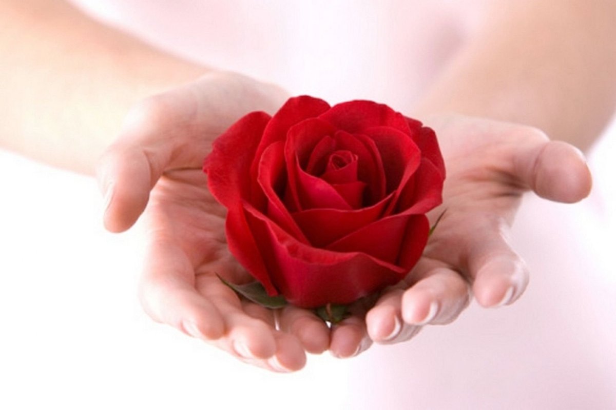 Цветы в ладонях