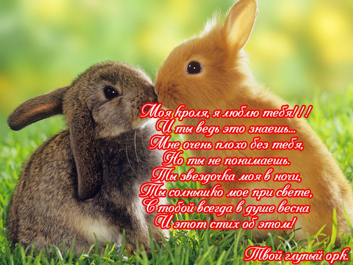 Veronica Minozzi художница