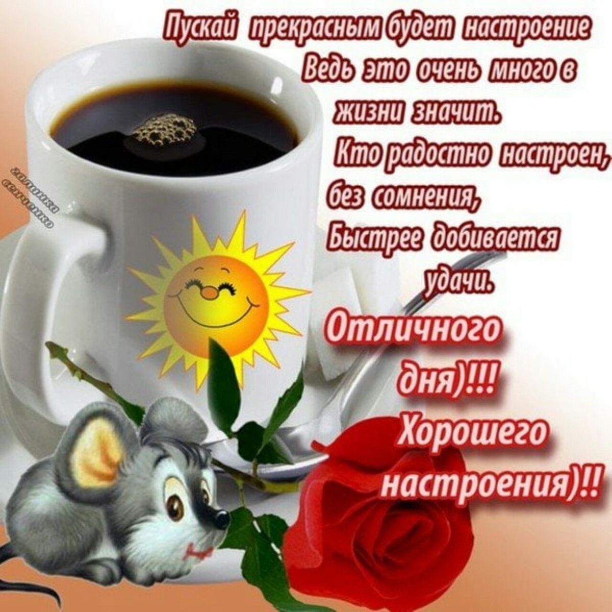 Удачного дня и отличного настроения