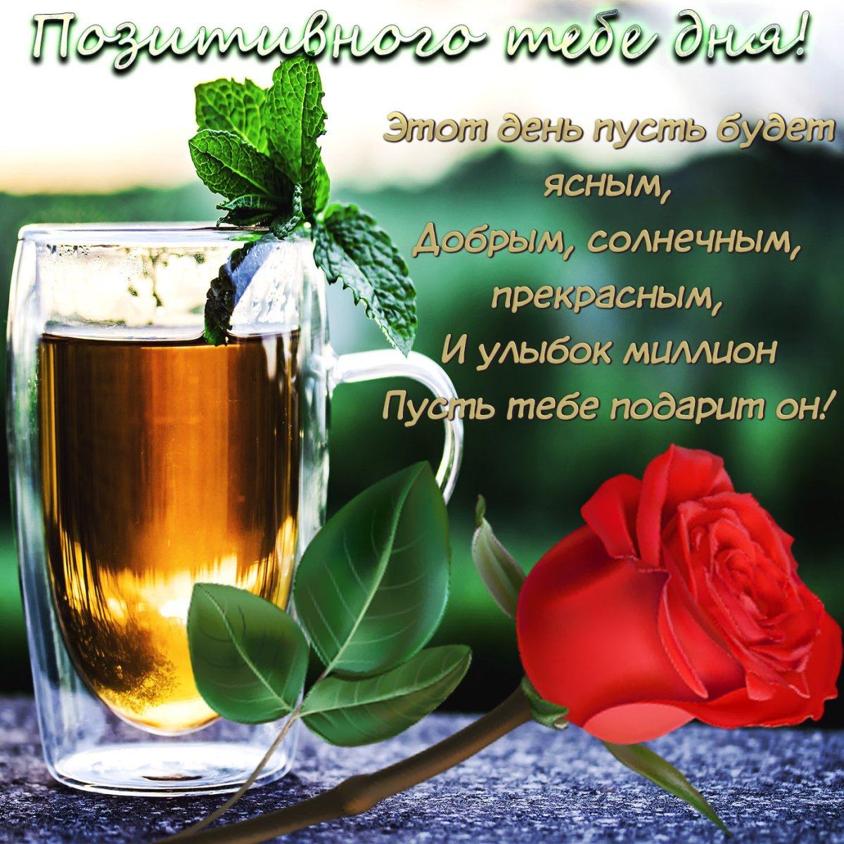 Пожелания доброго дня прикольные