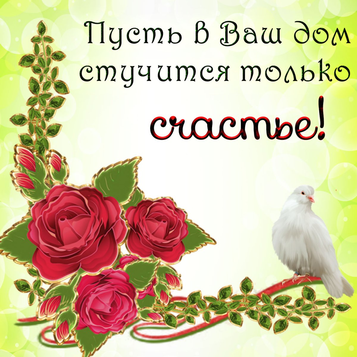 Добрый день птицы хорошего настроения