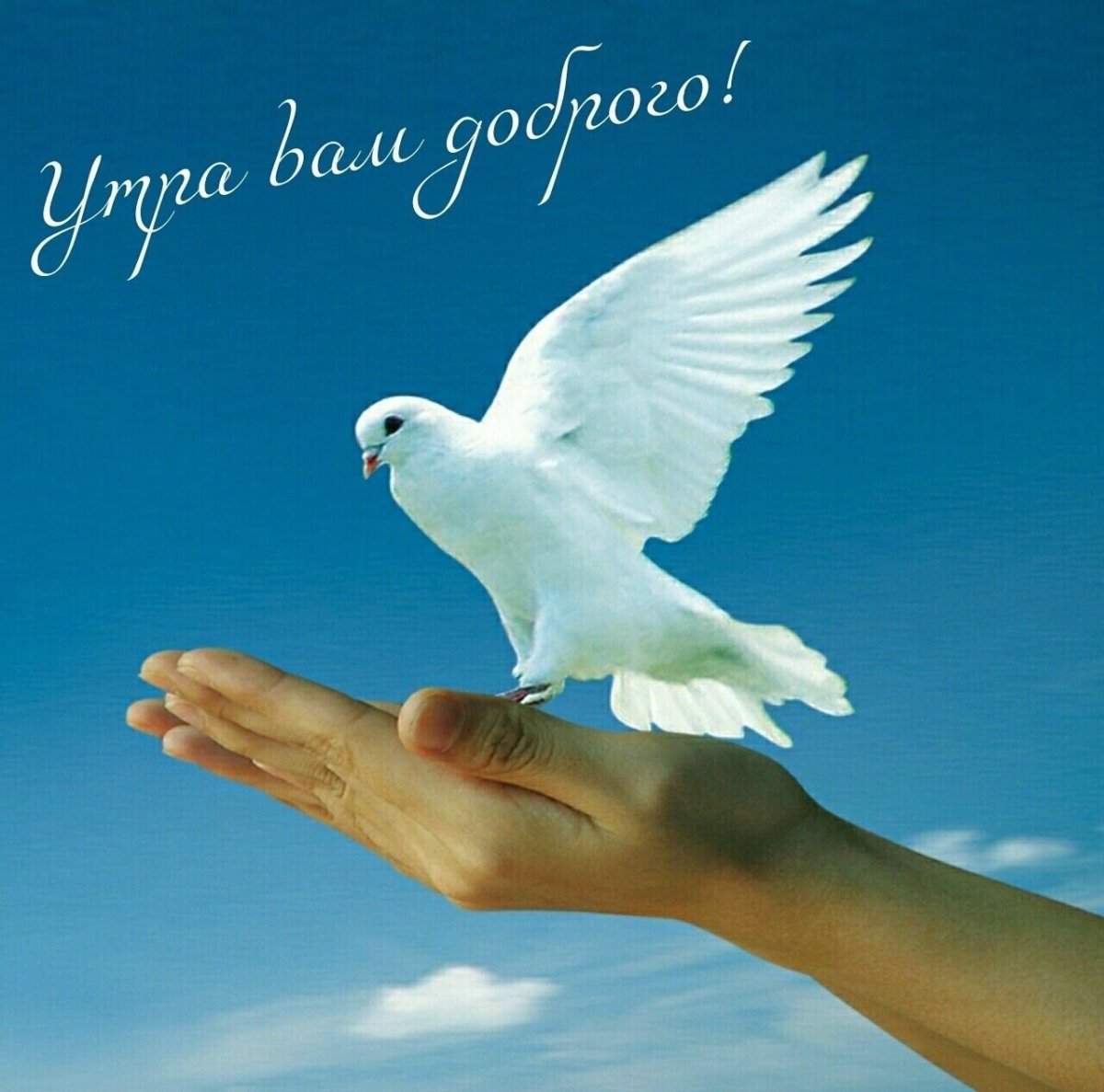 Открытка "на счастье"