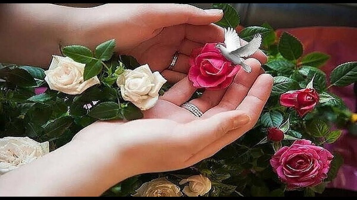 Желаю всем добра и мыслей светлых пускай обиды прошлые уйдут