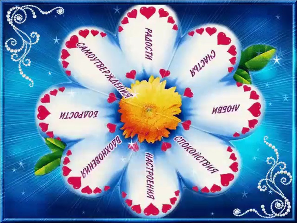 Доброе утро с голубями