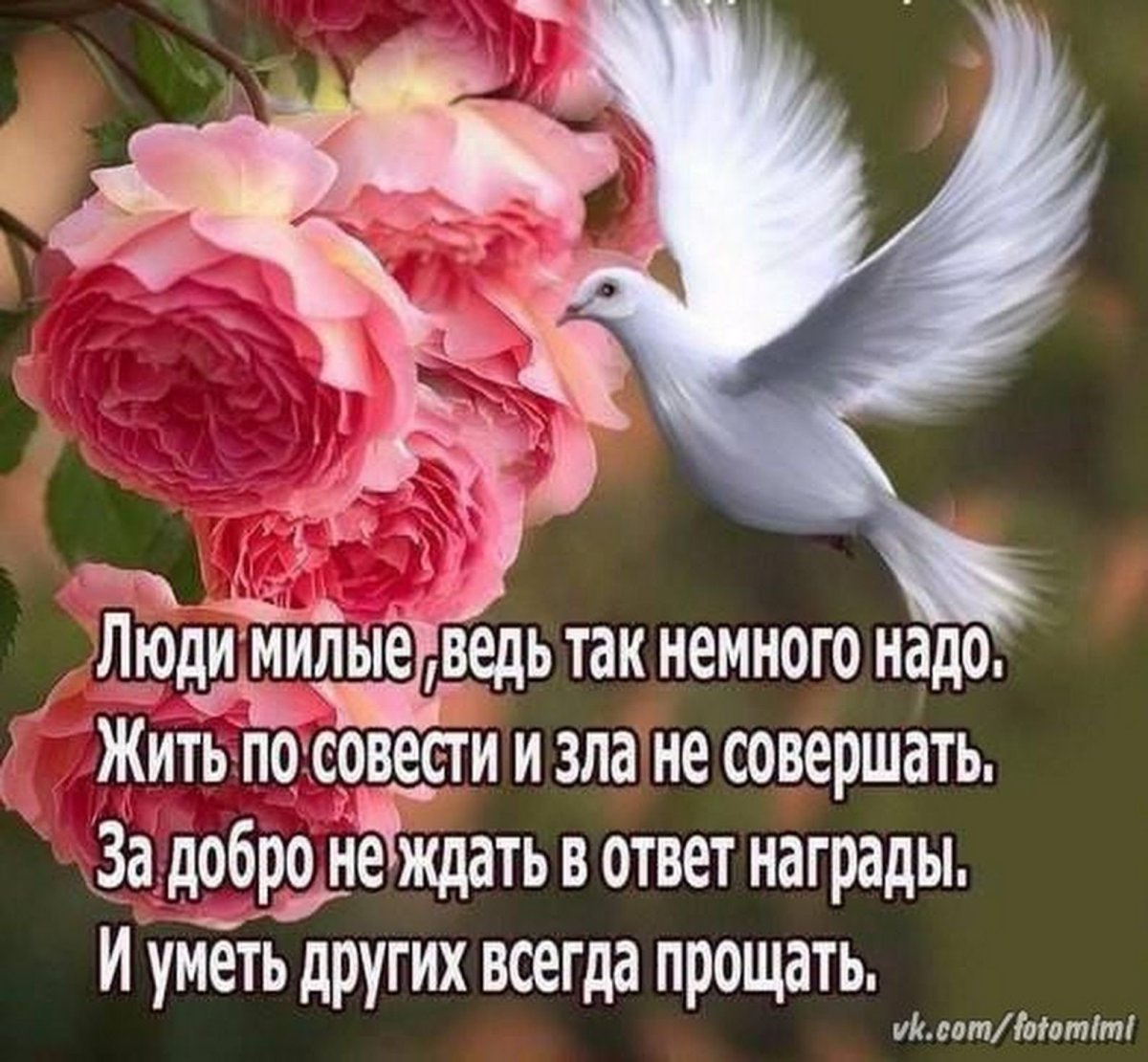 Открытка с красивым букетом и пожеланиями здоровья