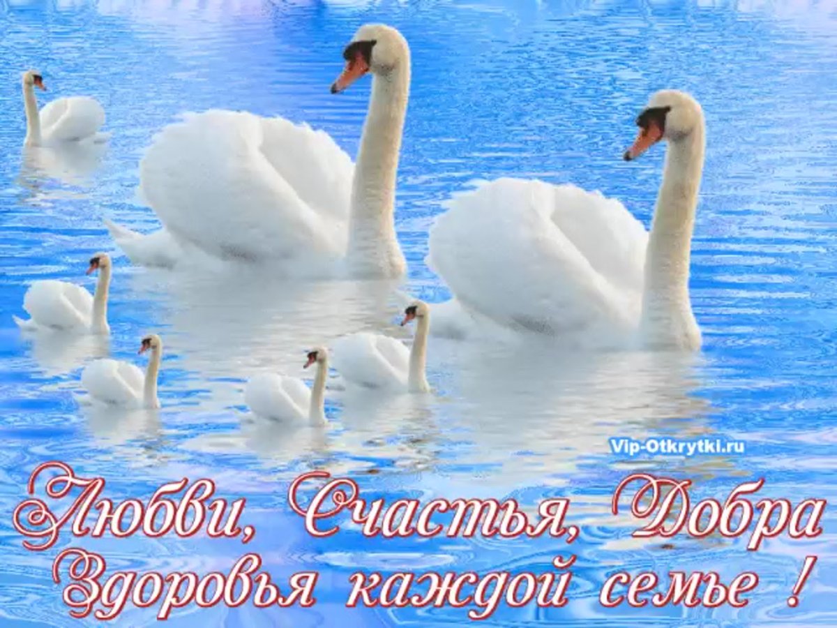 Красивые высказывания благодарности