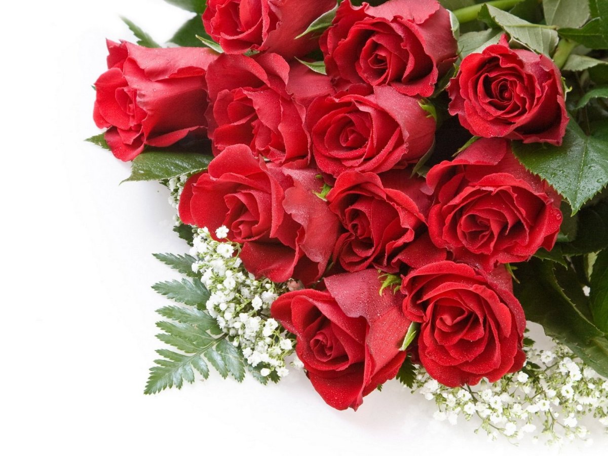 Поздравления с днём рождения Лиле