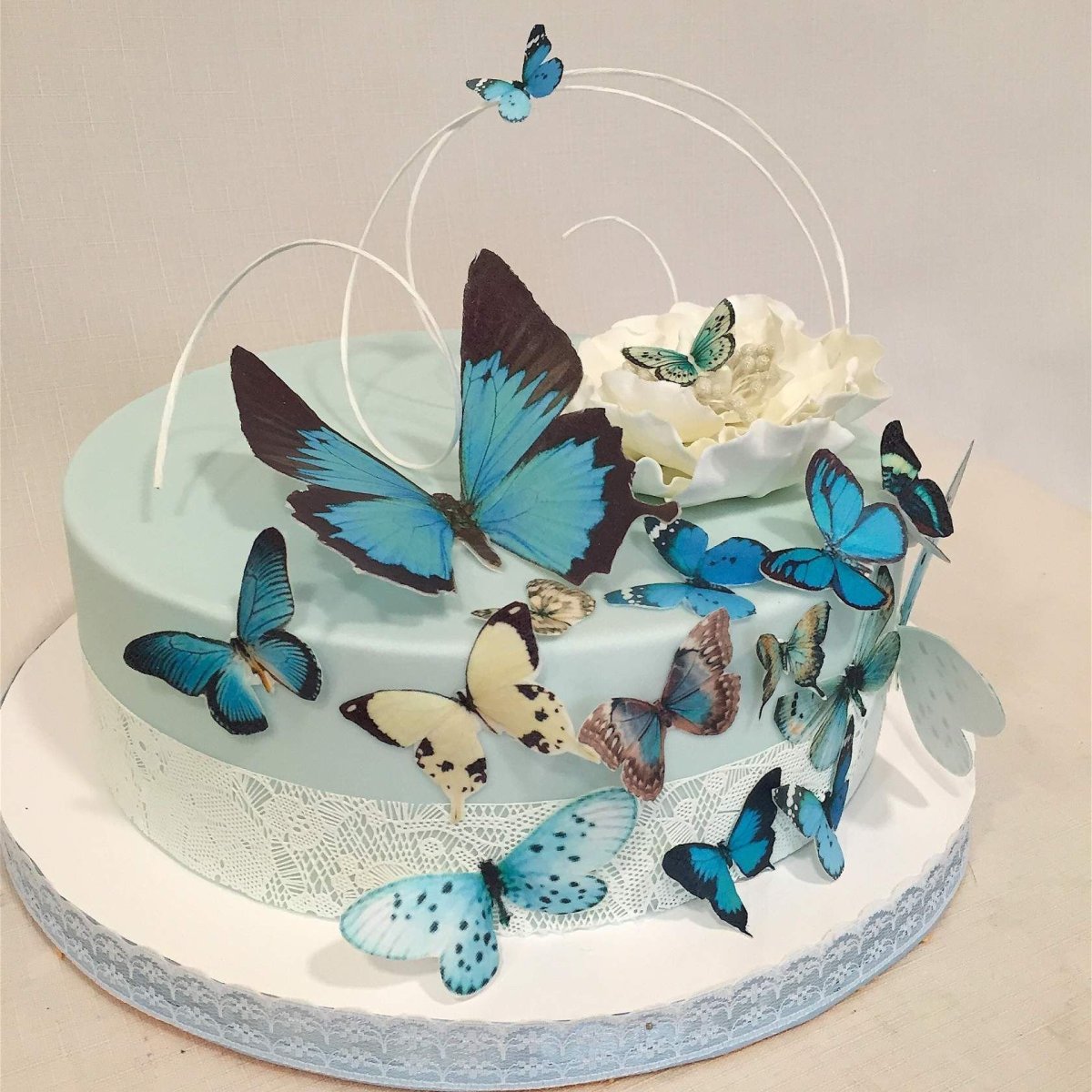 Торт с бабочками и леденцами